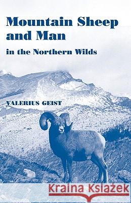 Mountain Sheep and Man in the Northern Wilds Valerius Geist 9781930665477 Blackburn Press - książka