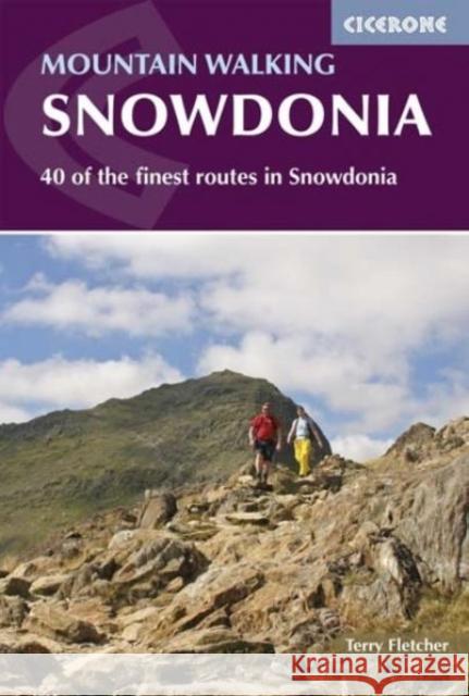 Mountain Walking in Snowdonia: 40 of the finest routes in Snowdonia Terry Fletcher 9781852847678 Cicerone Press - książka