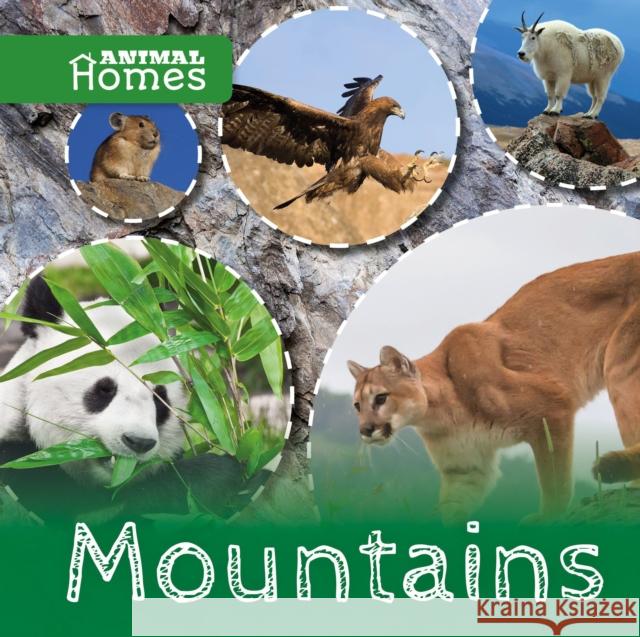 Mountains John Wood 9781786371355 Animal Homes - książka