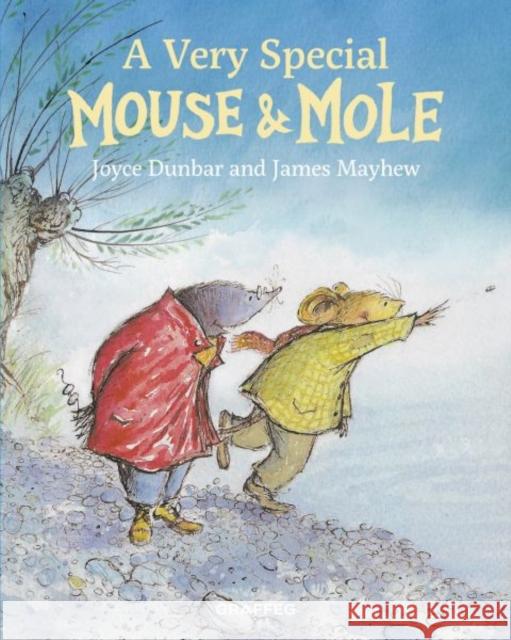 Mouse and Mole: A Very Special Mouse and Mole Joyce Dunbar 9781912050987 Graffeg Limited - książka