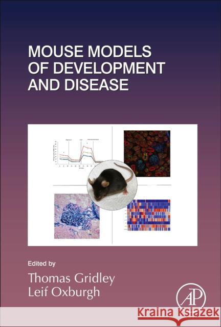 Mouse Models of Development and Disease: Volume 148 Gridley, Thomas 9780128171318 Academic Press - książka