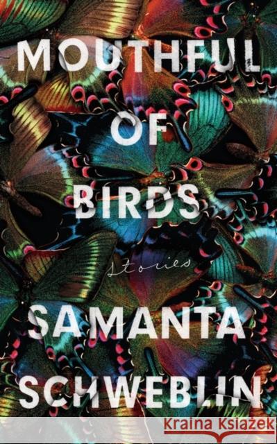 Mouthful of Birds: LONGLISTED FOR THE MAN BOOKER INTERNATIONAL PRIZE, 2019 Schweblin, Samanta 9781786076694 Oneworld Publications - książka