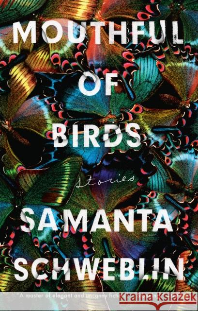 Mouthful of Birds: Stories Samanta Schweblin 9780399184635 Riverhead Books - książka