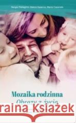 Mozaika Rodzinna. Obrazy z życia Sergio Pellegrini, Gianni Salerno, Maria Caporale 9788396689771 HOTbook - książka