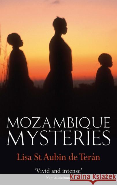 Mozambique Mysteries St Aubin de Teran, Lisa 9781844082995  - książka