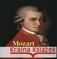Mozart Harald Salfellner 9783899193756 Vitalis - książka