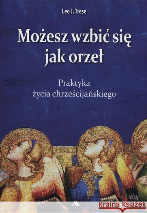 Możesz wzbić się jak orzeł Trese Leo J. 9788378647379 AA - książka