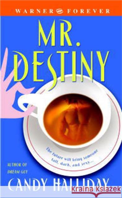 Mr. Destiny Candy Halliday 9780446614566 TIME WARNER INTERNATIONAL - książka