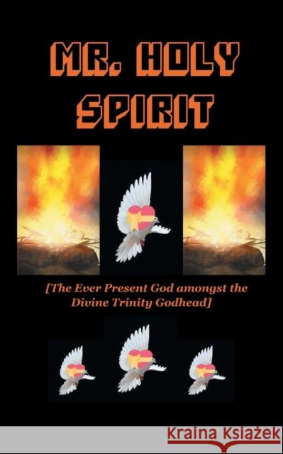 Mr Holy Spirit: The Ever Present God Amongst the Divine Trinity Godhead Rev. Dr. Paul Baiden-Adams 9781839757105 Grosvenor House Publishing Ltd - książka