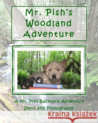 Mr. Pish's Woodland Adventure K. S. Brooks MR Pish K. S. Brooks 9781483931401 Createspace Independent Publishing Platform - książka