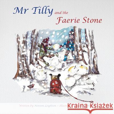 Mr Tilly and the Faerie Stone Leighton, Noreen 9780993311406 Tatterdemalion Blue - książka