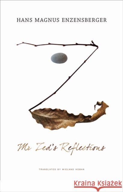 Mr. Zed's Reflections Hans Magnus Enzensberger Martin Chalmers 9780857422248 Seagull Books - książka