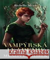 Mrazivý polibek Richelle Mead 9788027605620  - książka