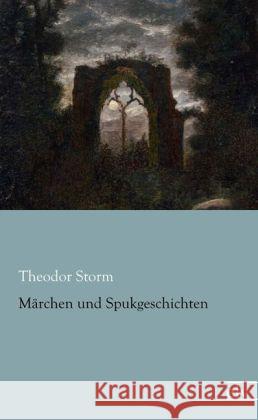 Märchen und Spukgeschichten Storm, Theodor 9783862677719 Europäischer Literaturverlag - książka