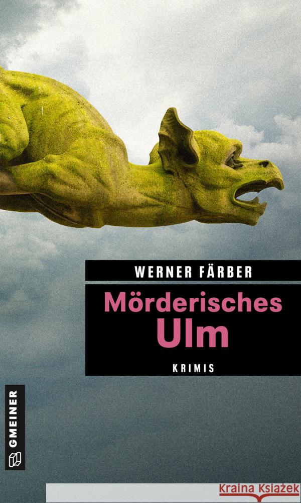 Mörderisches Ulm Färber, Werner 9783839229538 Gmeiner-Verlag - książka