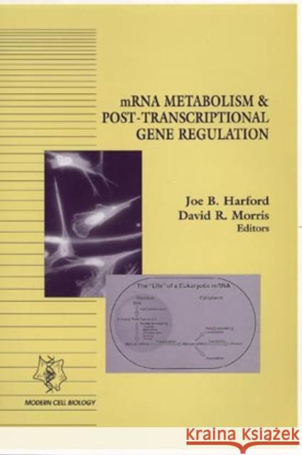 Mrna Metabolism & Post-Transcriptional Gene Regulation Harford, Joe B. 9780471142065 Wiley-Liss - książka