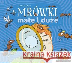 Mrówki małe i duże Justyna Kierat 9788377637548 Multico - książka