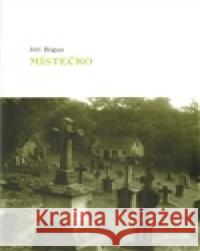 Místečko Jiří Bigas 9788072722303 Dauphin - książka