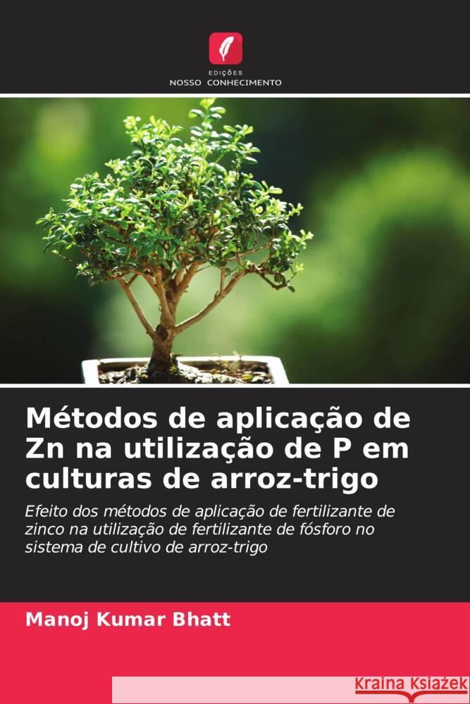 M?todos de aplica??o de Zn na utiliza??o de P em culturas de arroz-trigo Manoj Kumar Bhatt 9786206638346 Edicoes Nosso Conhecimento - książka