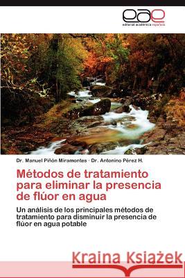 Métodos de tratamiento para eliminar la presencia de flúor en agua Piñón Miramontes Manuel 9783844349375 Editorial Acad Mica Espa Ola - książka