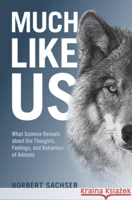 Much Like Us: What Science Reveals about the Thoughts, Feelings, and Behaviour of Animals Norbert Sachser 9781108838498 Cambridge University Press - książka