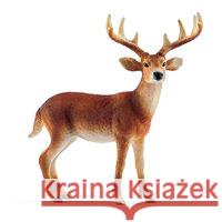 Mulak  4055744029608 TM Toys - książka