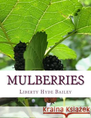 Mulberries Liberty Hyde Bailey Roger Chambers 9781979454377 Createspace Independent Publishing Platform - książka