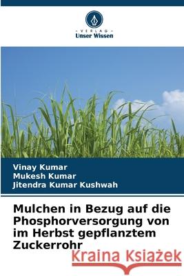 Mulchen in Bezug auf die Phosphorversorgung von im Herbst gepflanztem Zuckerrohr Kumar, Vinay, Kumar, Mukesh, Kushwah, Jitendra Kumar 9786209110863 Verlag Unser Wissen - książka