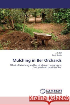 Mulching in Ber Orchards Bal, J. S., Singh, Surjit 9783848429400 LAP Lambert Academic Publishing - książka