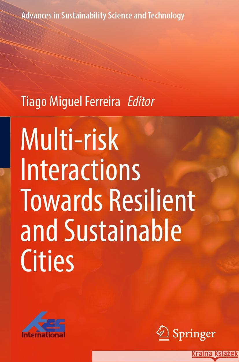 Multi-risk Interactions Towards Resilient and Sustainable Cities  9789819907472 Springer Nature Singapore - książka