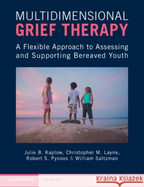 Multidimensional Grief Therapy William (California State University, Long Beach) Saltzman 9781107566507 Cambridge University Press - książka