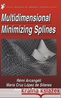 Multidimensional Minimizing Splines: Theory and Applications Arcangéli, R. 9781402077869 Kluwer Academic Publishers - książka