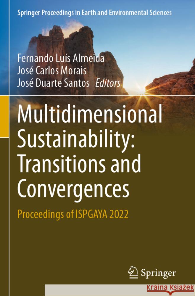 Multidimensional Sustainability: Transitions and Convergences  9783031248948 Springer - książka