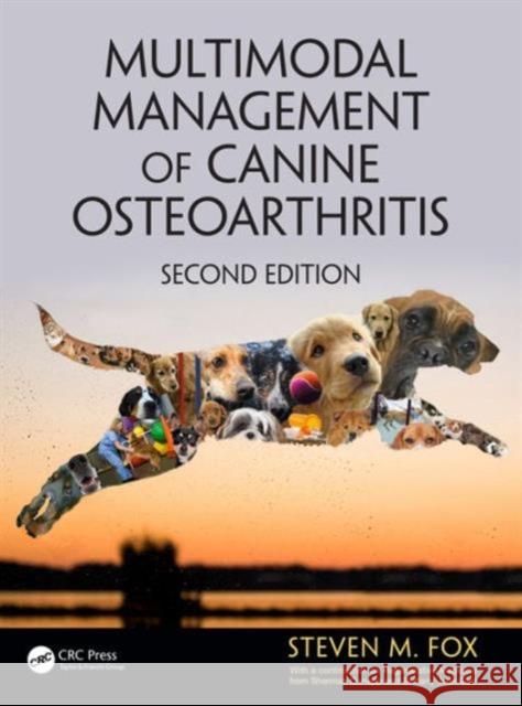 Multimodal Management of Canine Osteoarthritis Steven M. Fox 9781498749350 CRC Press - książka