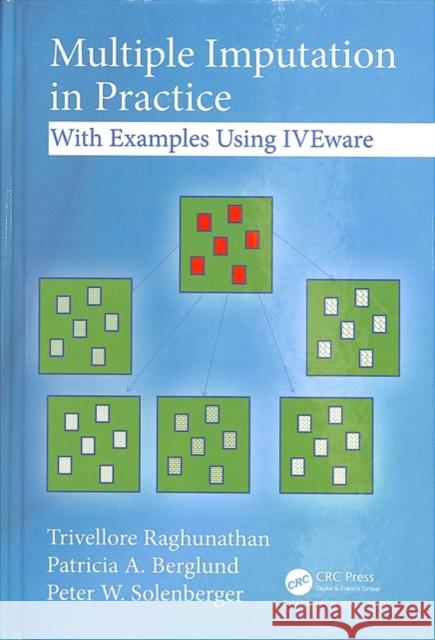 Multiple Imputation in Practice: With Examples Using Iveware Trivellore Raghunathan Patricia A. Berglund Peter Solenberger 9781498770163 CRC Press - książka