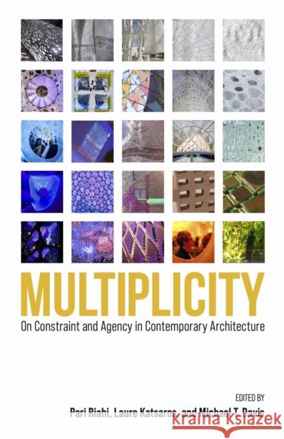 Multiplicity: On Constraint and Agency in Contemporary Architecture  9781625347992 University of Massachusetts Press - książka