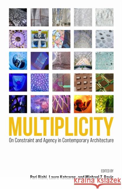 Multiplicity: On Constraint and Agency in Contemporary Architecture  9781625348005 University of Massachusetts Press - książka
