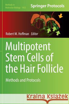 Multipotent Stem Cells of the Hair Follicle: Methods and Protocols Hoffman, Robert M. 9781493937844 Humana Press - książka