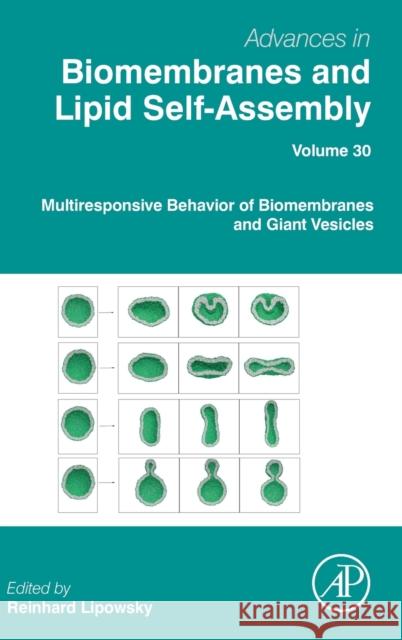 Multiresponsive Behavior of Biomembranes and Giant Vesicles: Volume 30 Lipowsky, Reinhard 9780128174838 Academic Press - książka