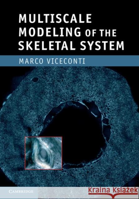 Multiscale Modeling of the Skeletal System Marco Viceconti   9780521769501 Cambridge University Press - książka