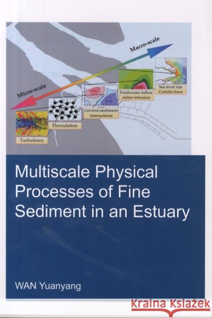 Multiscale Physical Processes of Fine Sediment in an Estuary Yuanyang Wan 9781138028449 CRC Press - książka