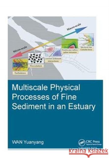 Multiscale Physical Processes of Fine Sediment in an Estuary Yuanyang Wan 9781138373334 Taylor and Francis - książka