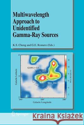 Multiwavelength Approach to Unidentified Gamma-Ray Sources: A Second Workshop on the Nature of the High-Energy Unidentified Sources Cheng, K. S. 9789048168163 Not Avail - książka