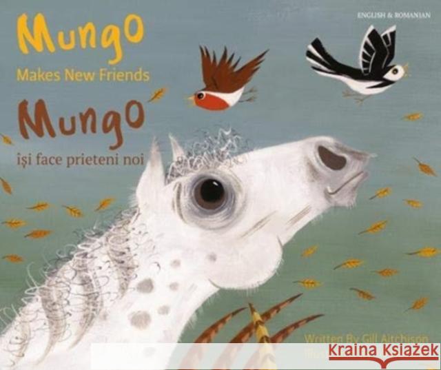 Mungo Makes New Friends Romanian/English Gill Aitchison 9781787841710 Mantra Lingua - książka