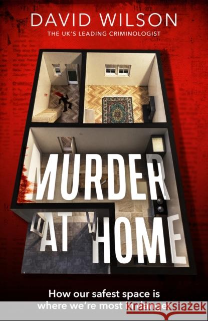 Murder at Home: how our safest space is where we're most in danger David Wilson 9780751584950 Little, Brown Book Group - książka