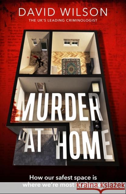 Murder at Home: how our safest space is where we're most in danger David Wilson 9780751584974 Little, Brown Book Group - książka