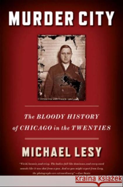 Murder City: The Bloody History of Chicago in the Twenties Michael Lesy 9780393330595  - książka