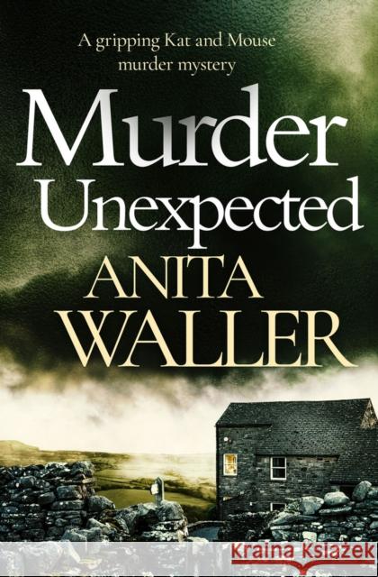 Murder Unexpected: A Gripping Murder Mystery Waller, Anita 9781912986095 Bloodhound Books - książka