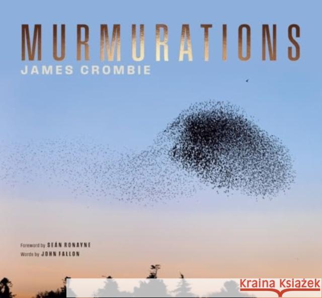 Murmurations James Crombie 9781843519119 Lilliput Press - książka