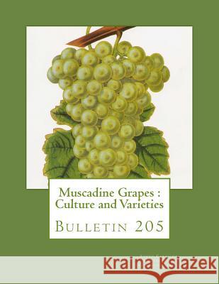 Muscadine Grapes: Culture and Varieties: Bulletin 205 South Carolina Agricultural Experiment S Roger Chambers 9781987625042 Createspace Independent Publishing Platform - książka